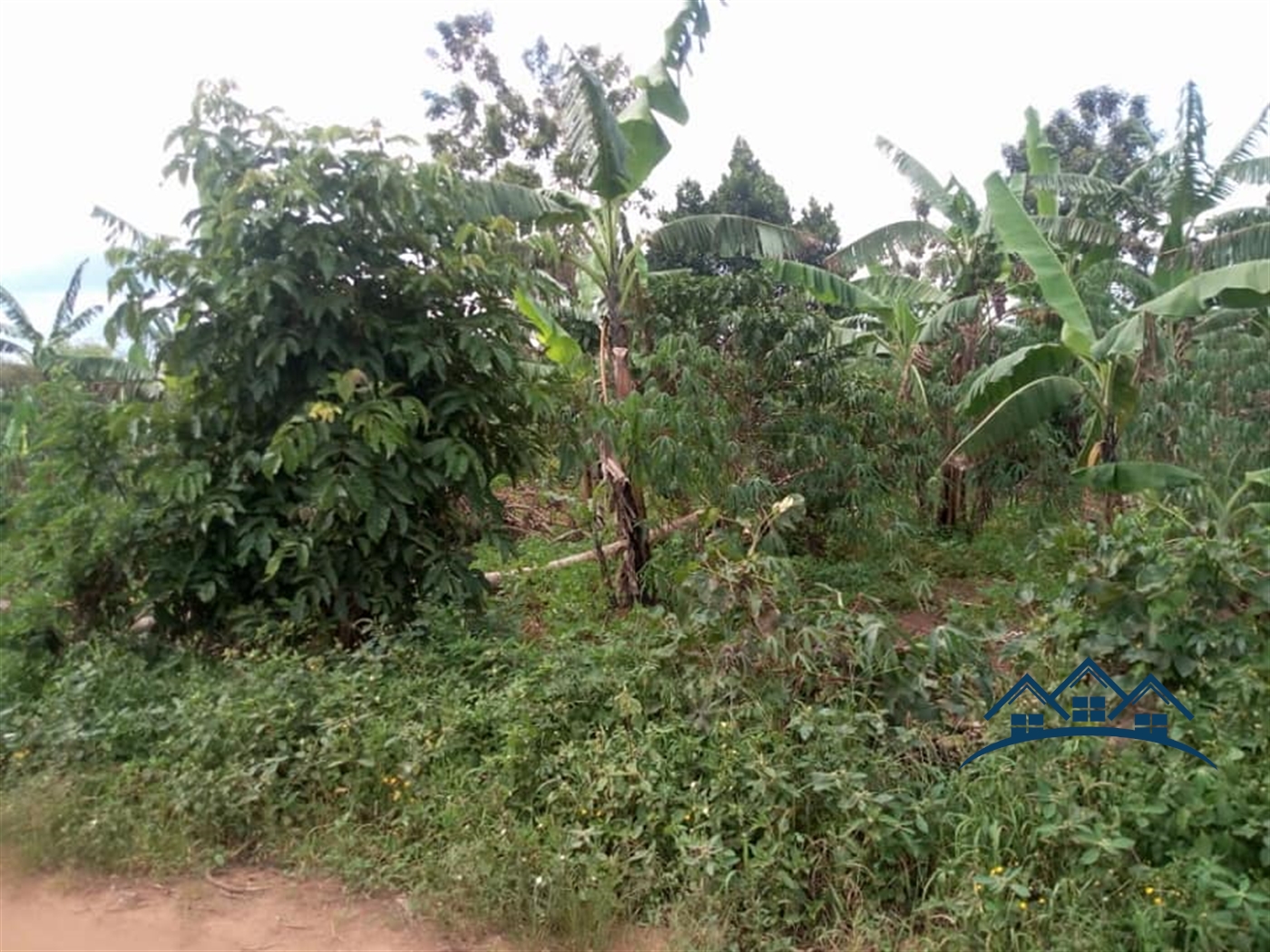 Agricultural Land for sale in Vumbe Wakiso