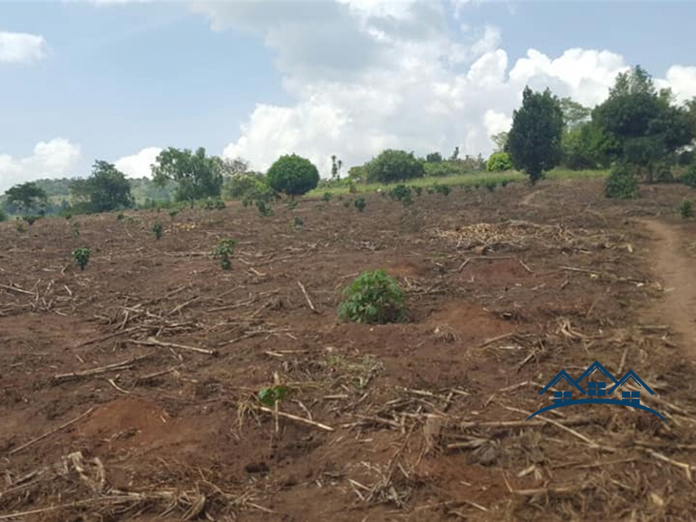 Agricultural Land for sale in Myanzi Mityana