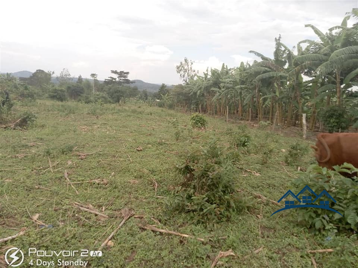 Agricultural Land for sale in Nyibwa Kampala