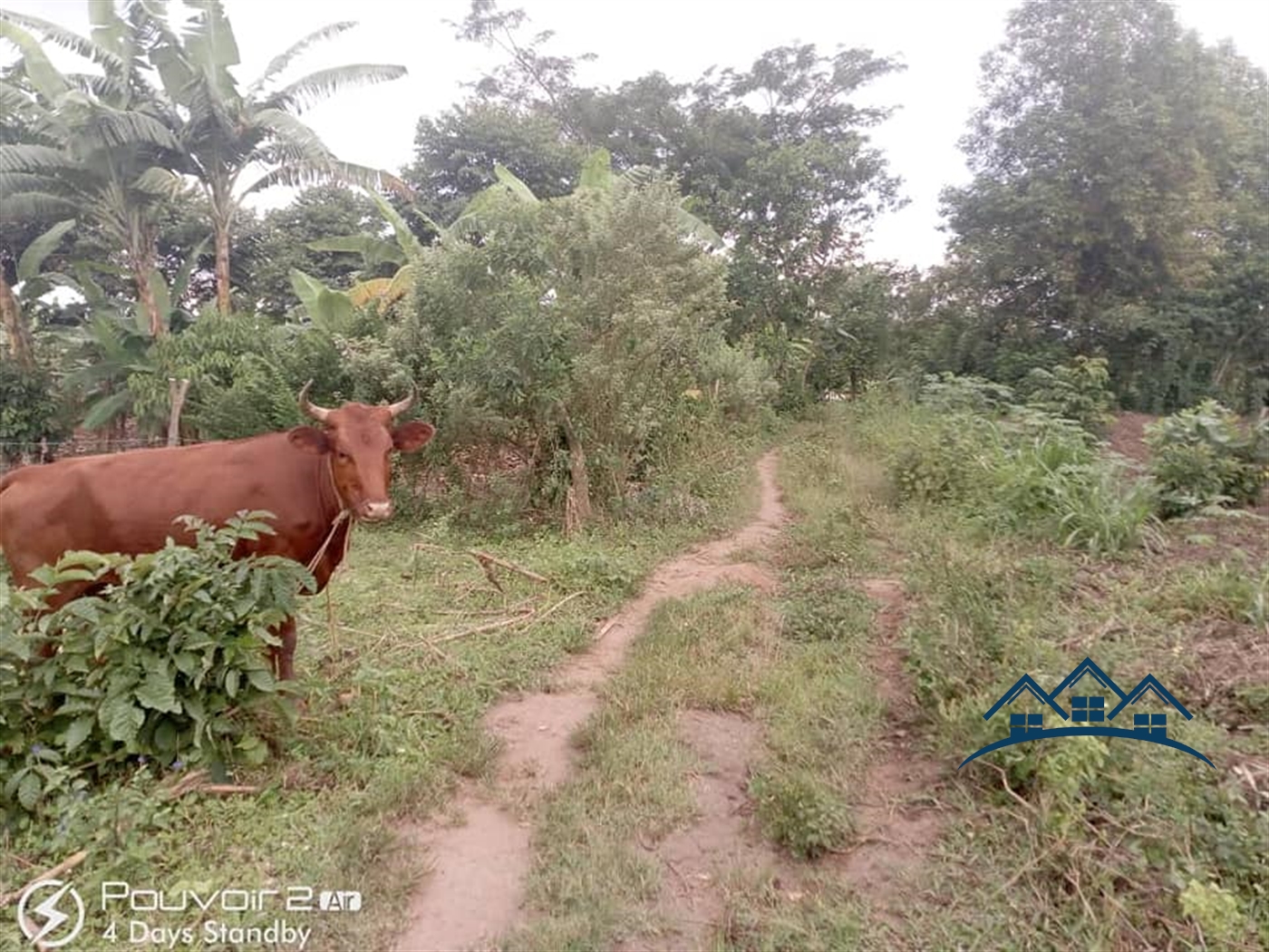 Agricultural Land for sale in Nyibwa Kampala