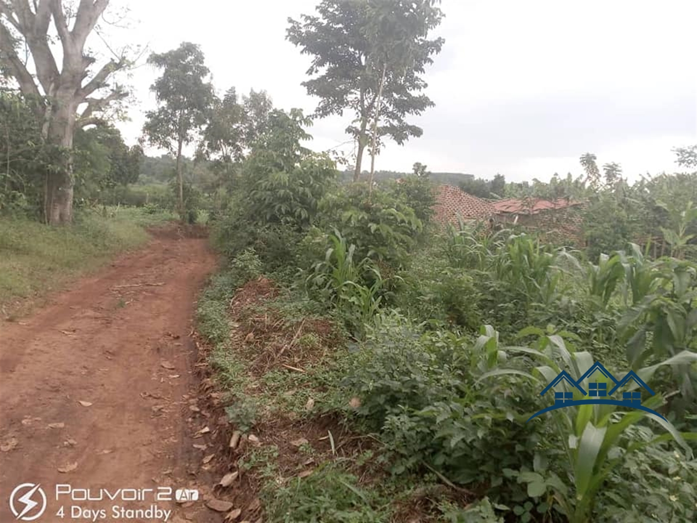 Agricultural Land for sale in Nyibwa Luweero