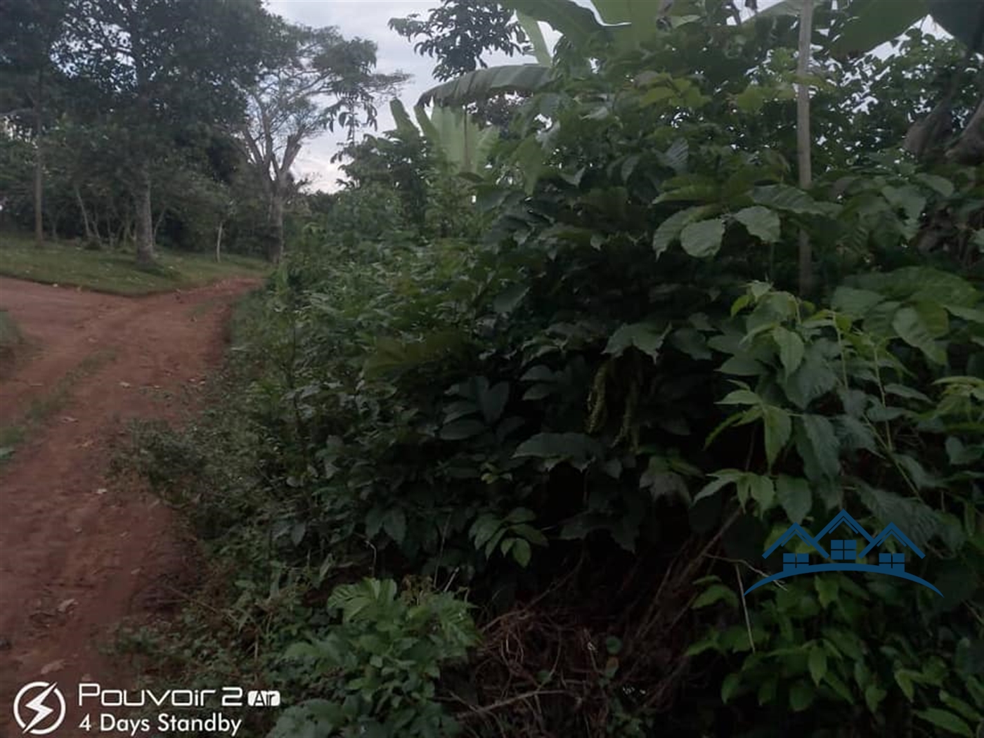 Agricultural Land for sale in Nyibwa Luweero