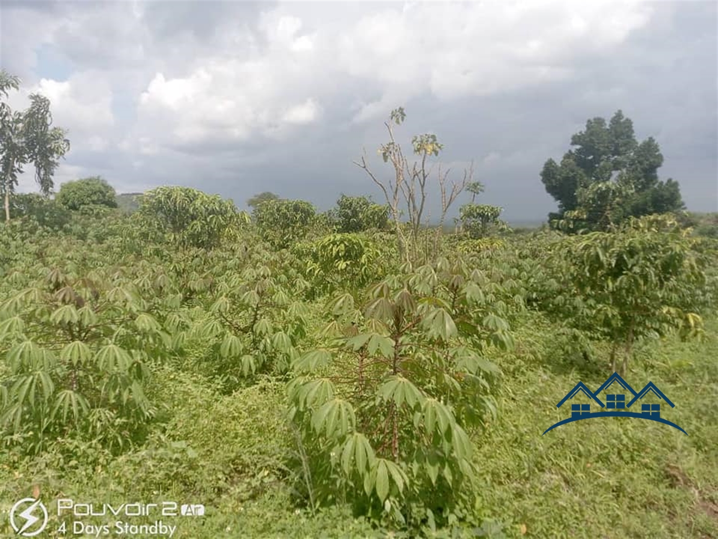 Agricultural Land for sale in Kyampisi Luweero