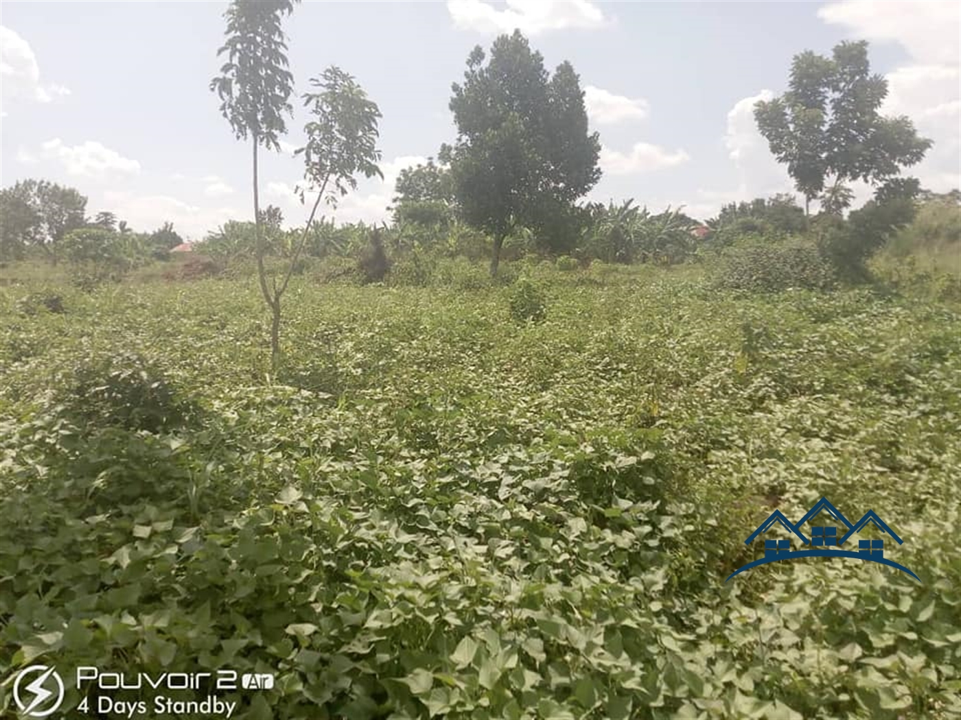 Agricultural Land for sale in Kyampisi Luweero