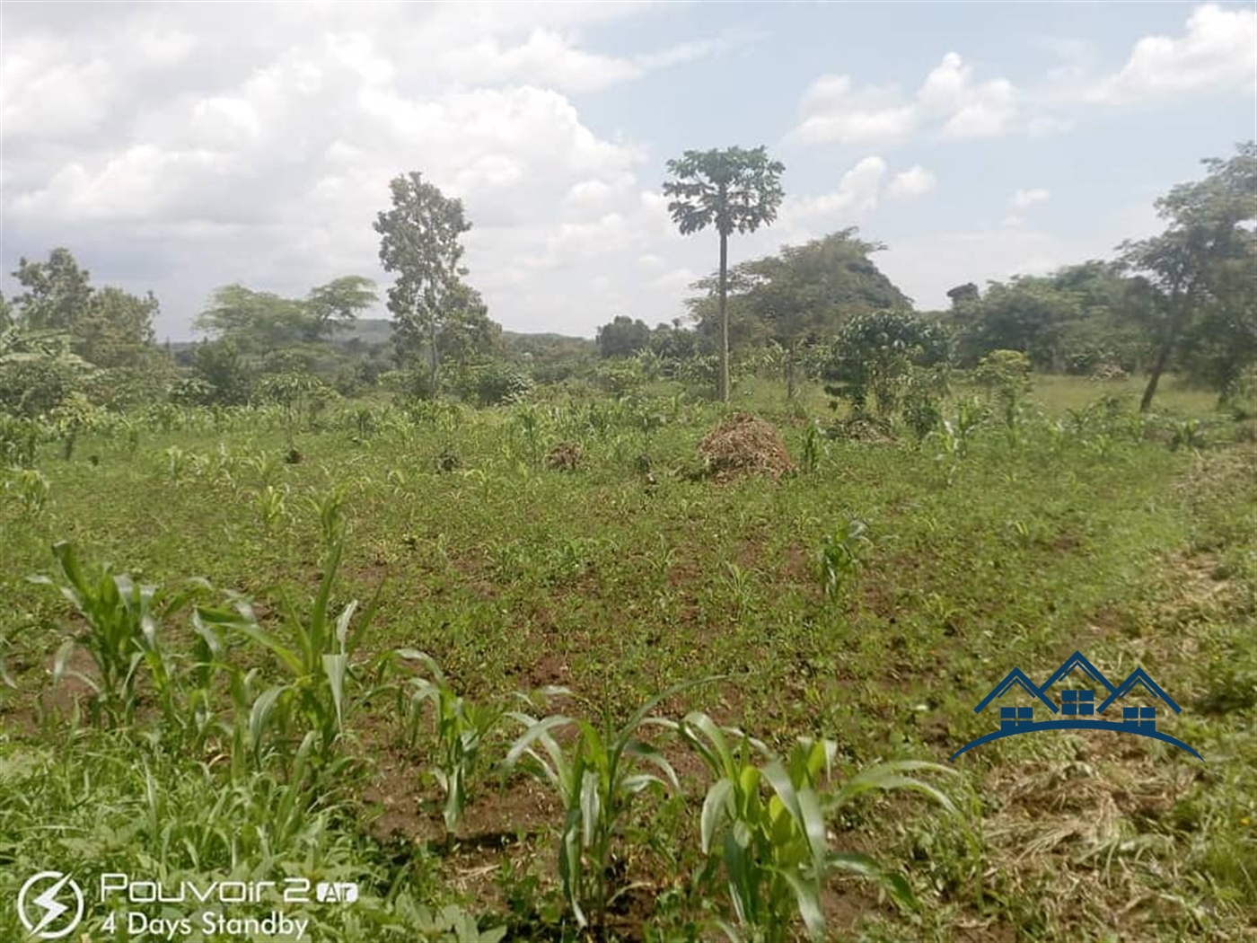 Agricultural Land for sale in Kyampisi Luweero