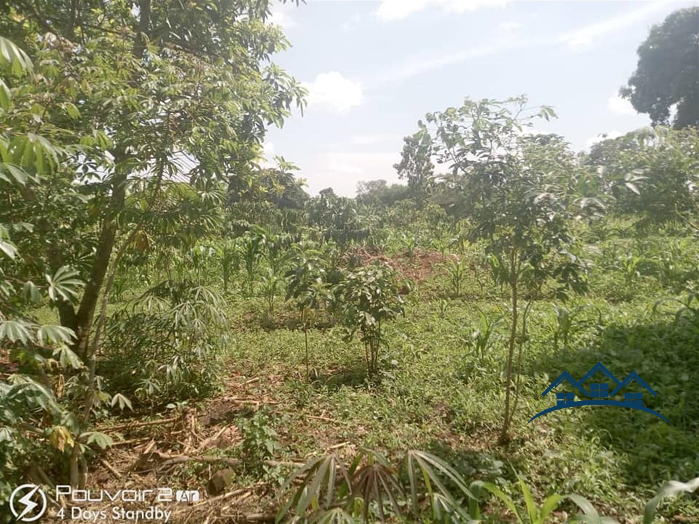 Agricultural Land for sale in Kyampisi Luweero