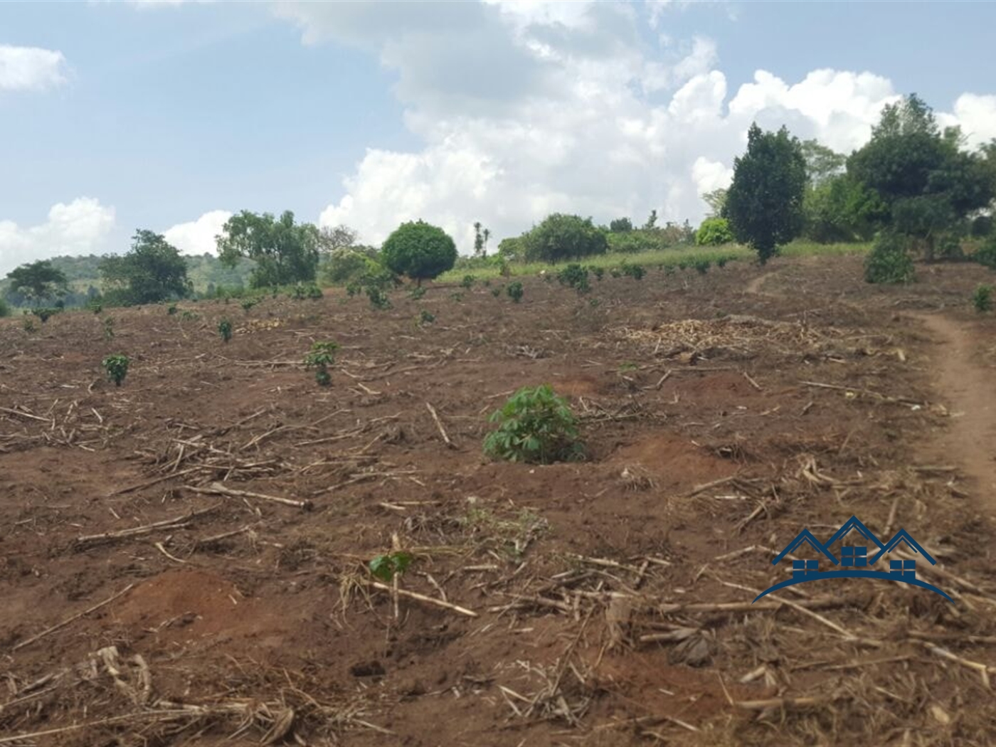 Agricultural Land for sale in Gambwa Mityana