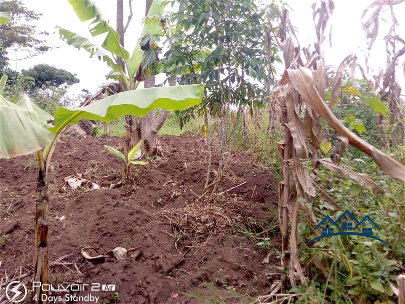 Agricultural Land for sale in Ssemuto Wakiso