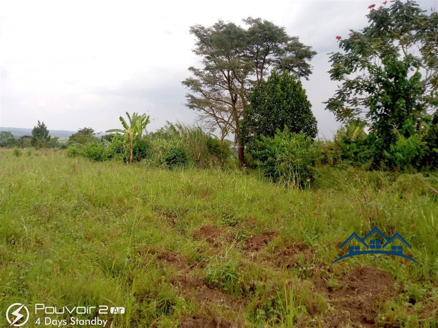 Agricultural Land for sale in Ssemuto Wakiso