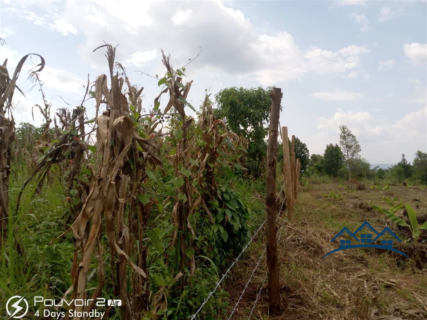 Agricultural Land for sale in Ssemuto Wakiso