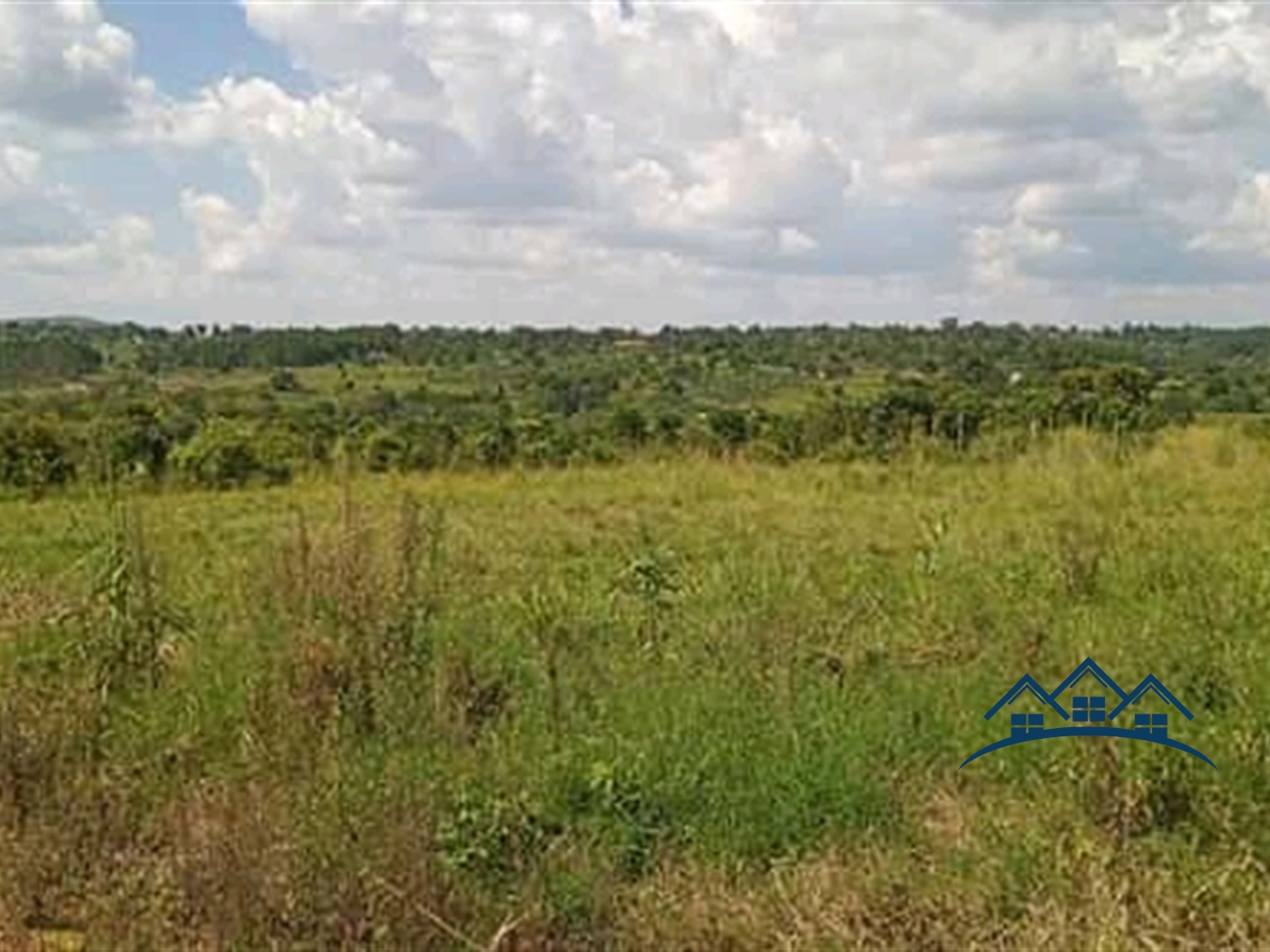 Multipurpose Land for sale in Buzibwela Luweero
