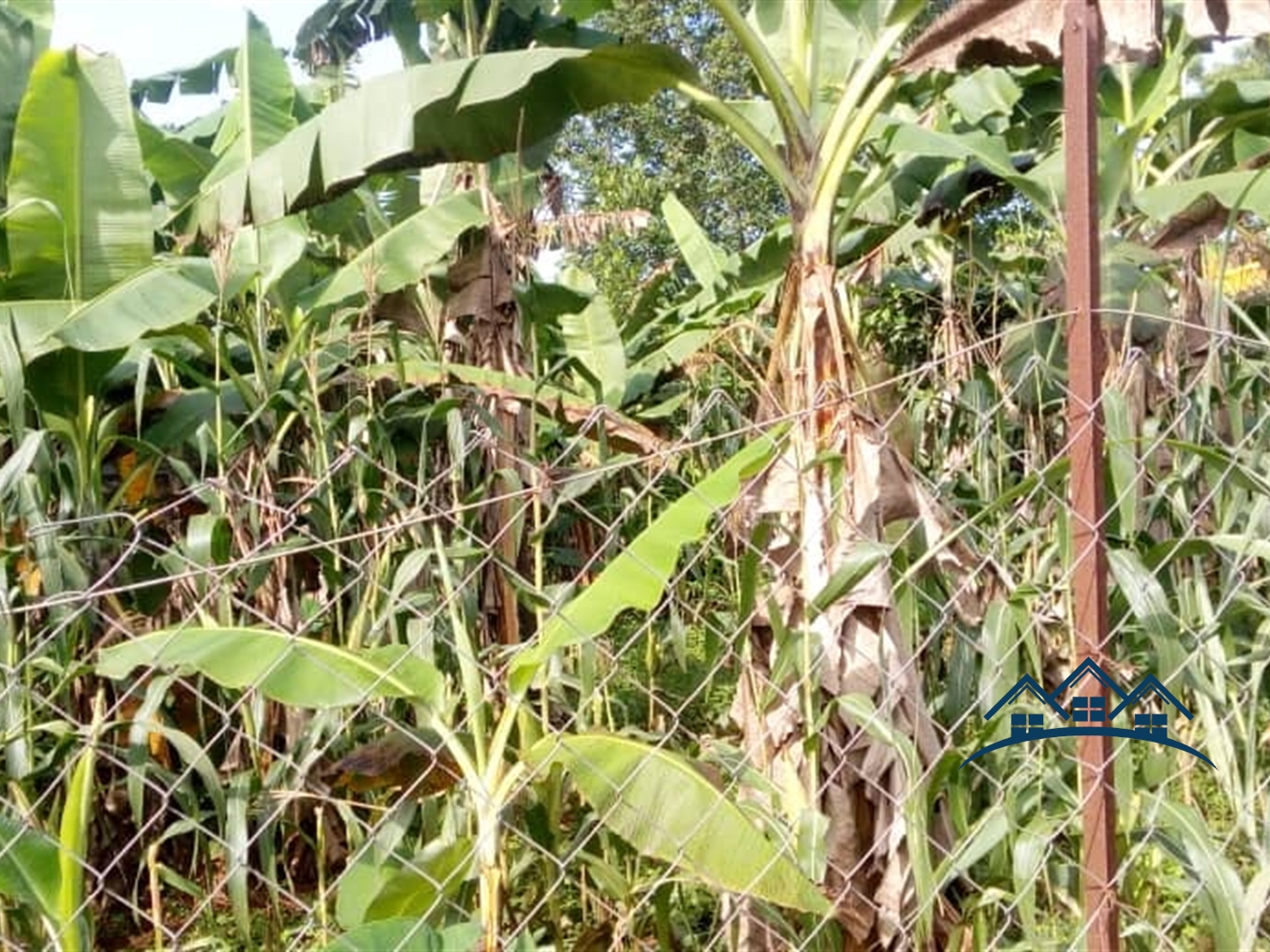 Residential Land for sale in Nakisunga Wakiso