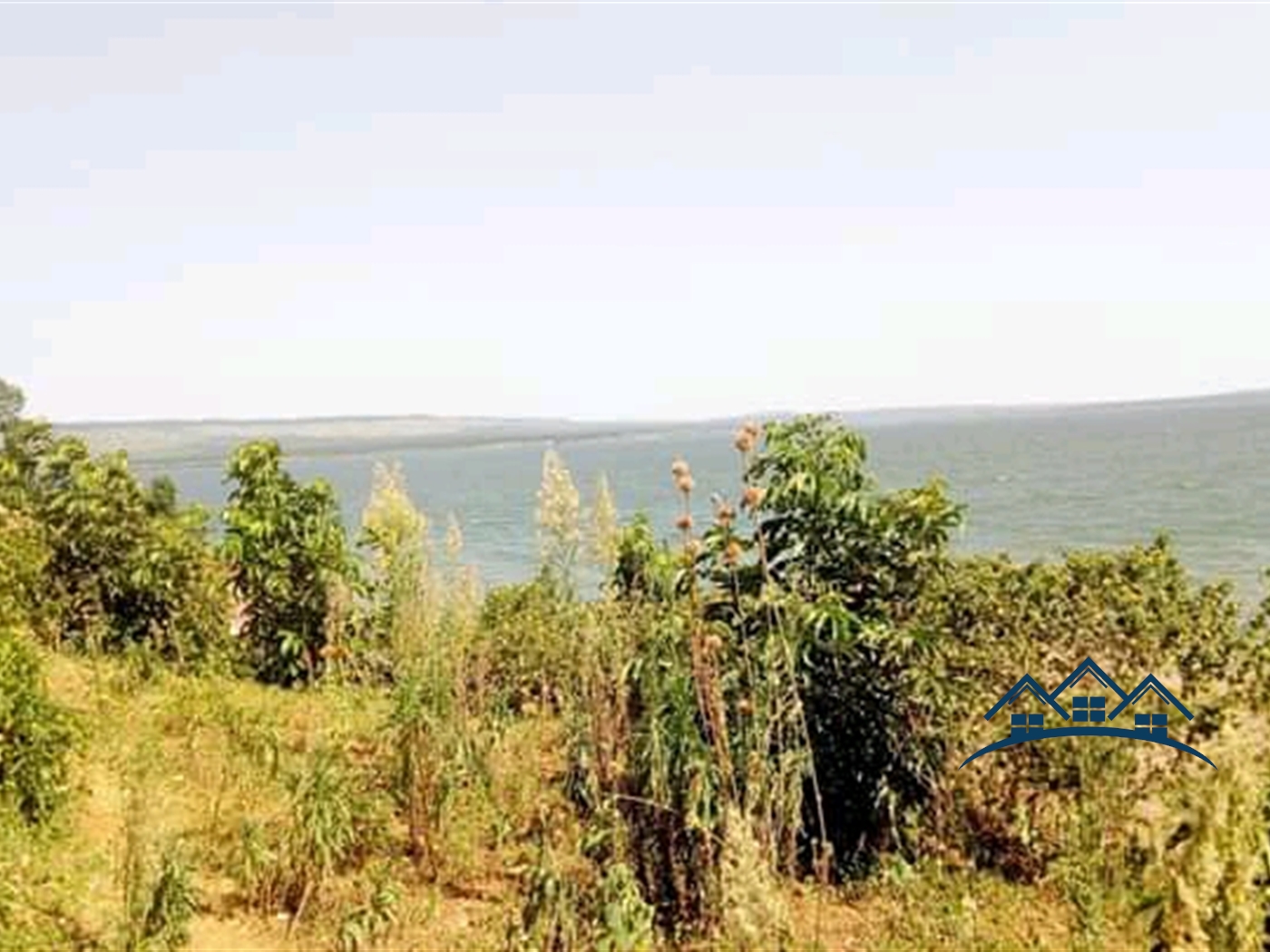 Multipurpose Land for sale in Musoli Mayuge