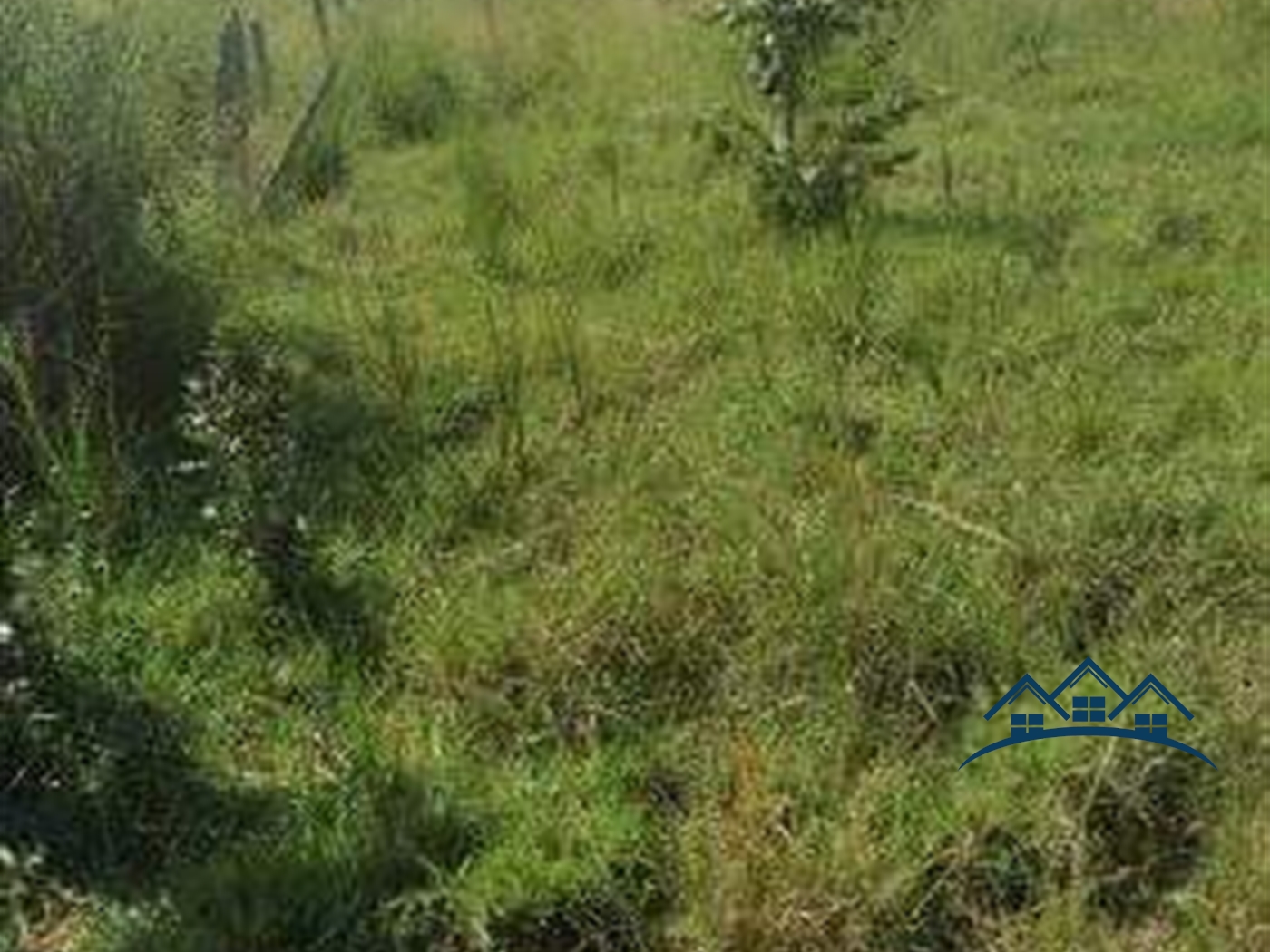 Agricultural Land for sale in Kakooge Luweero