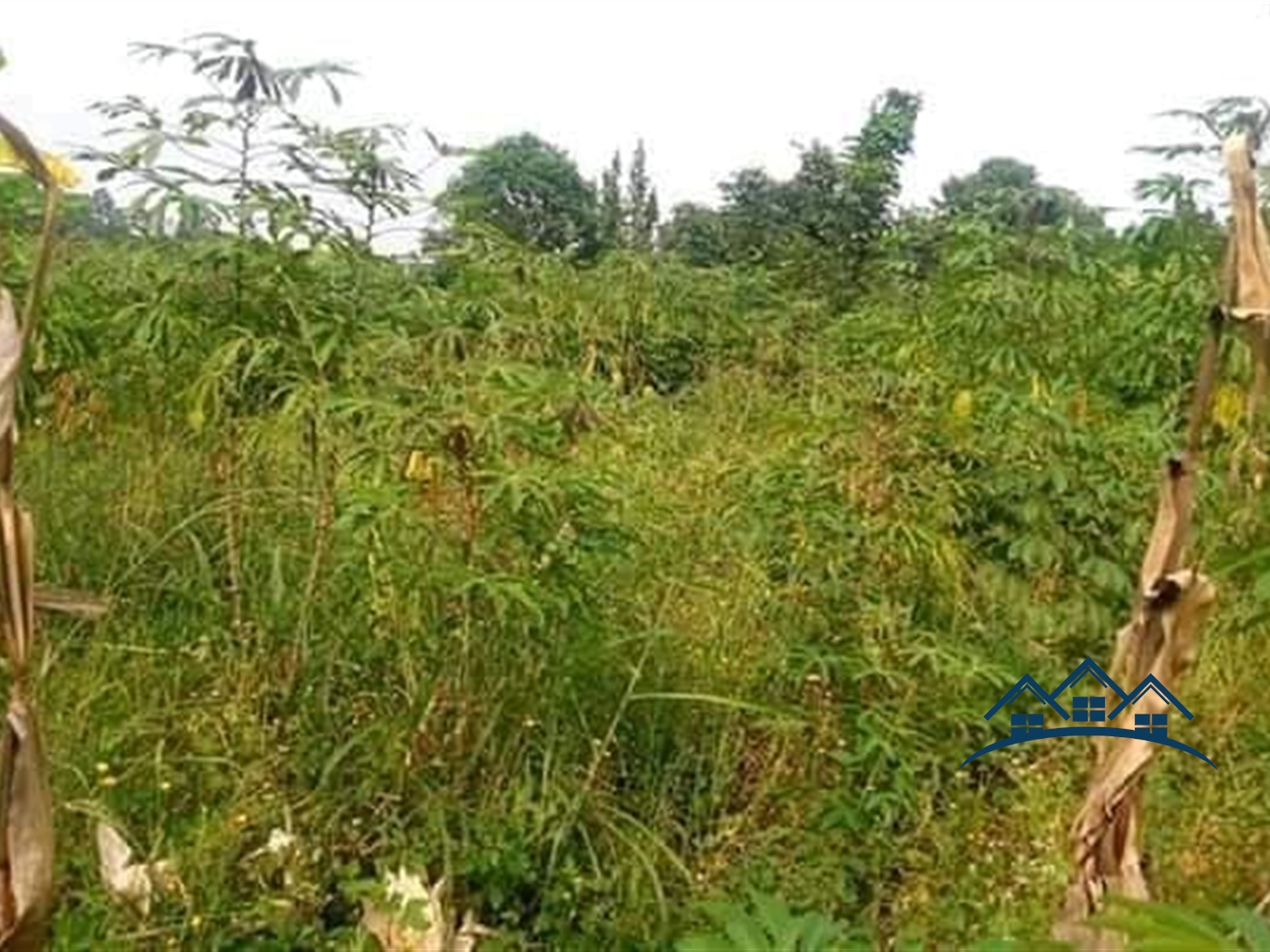 Agricultural Land for sale in Namataba Mukono