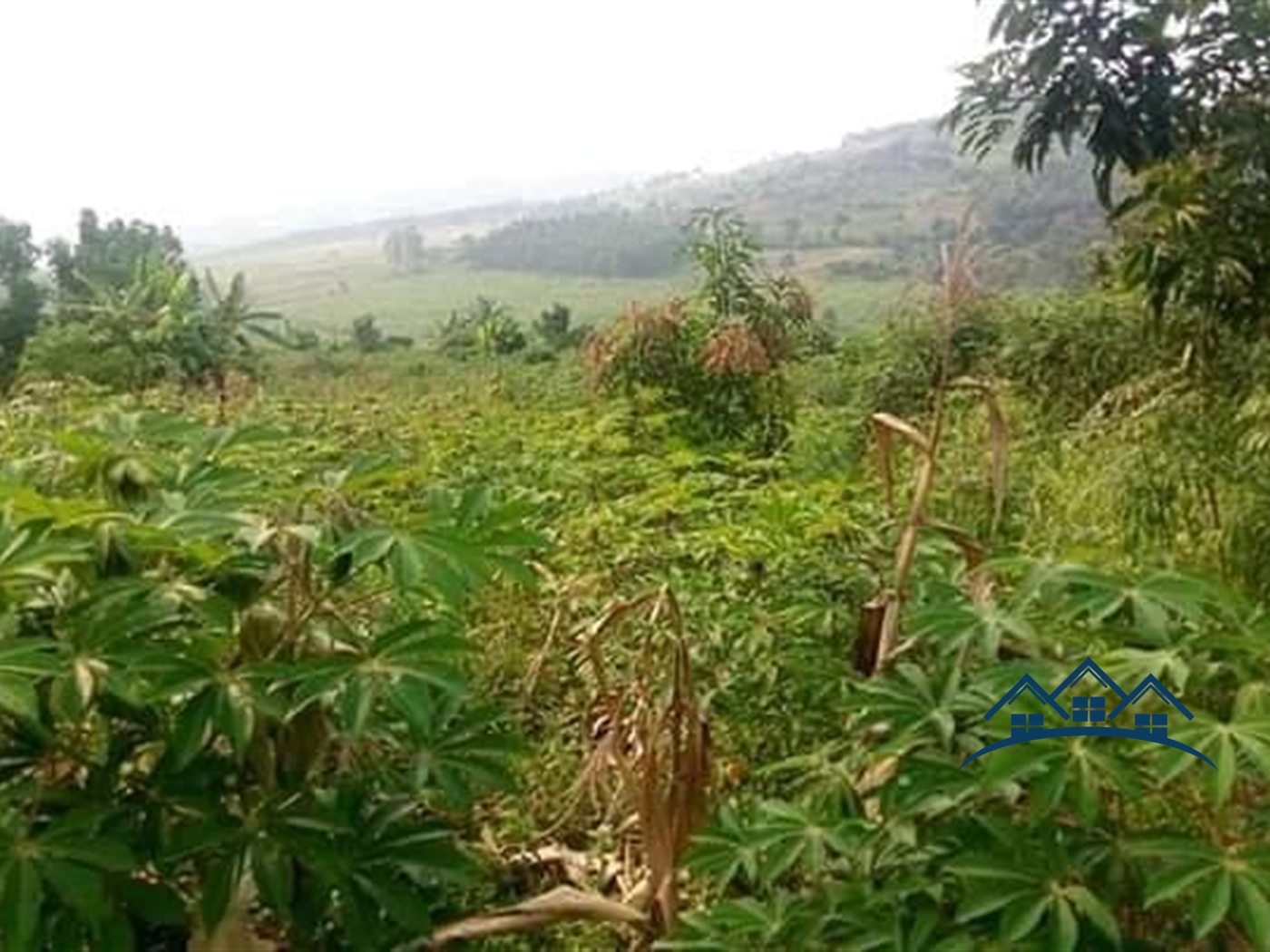 Agricultural Land for sale in Namataba Mukono