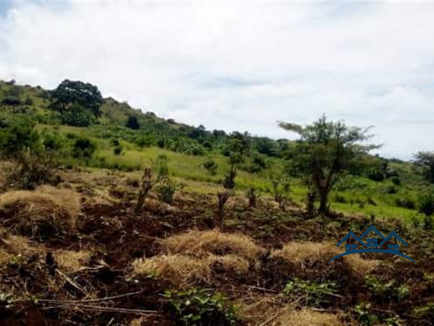 Agricultural Land for sale in Nkokonjeru Wakiso
