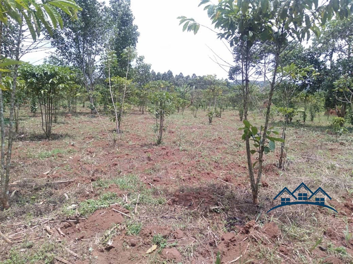 Agricultural Land for sale in Jungo Kampala