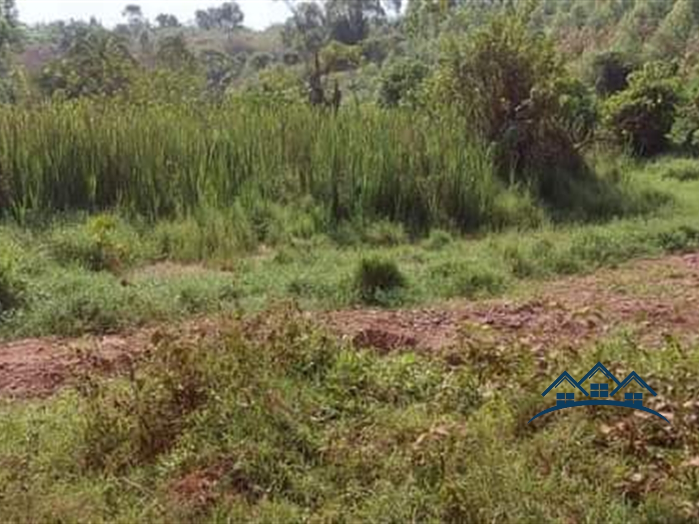 Agricultural Land for sale in Kikandwa Hoima