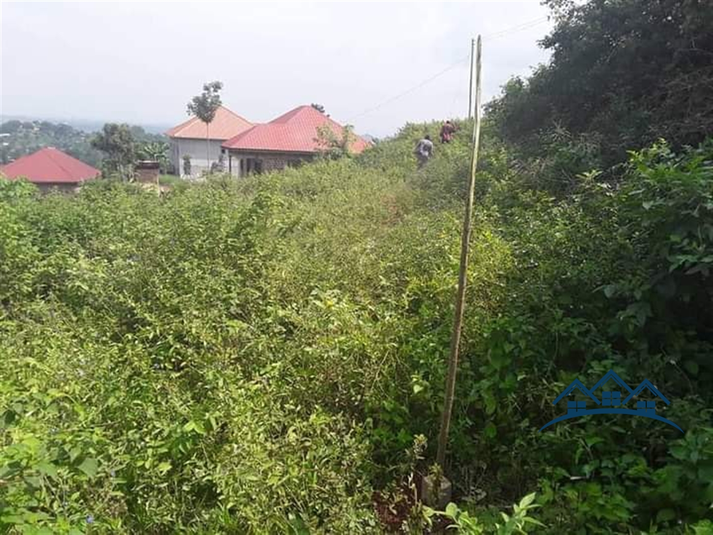 Residential Land for sale in Namawojjolo Mukono