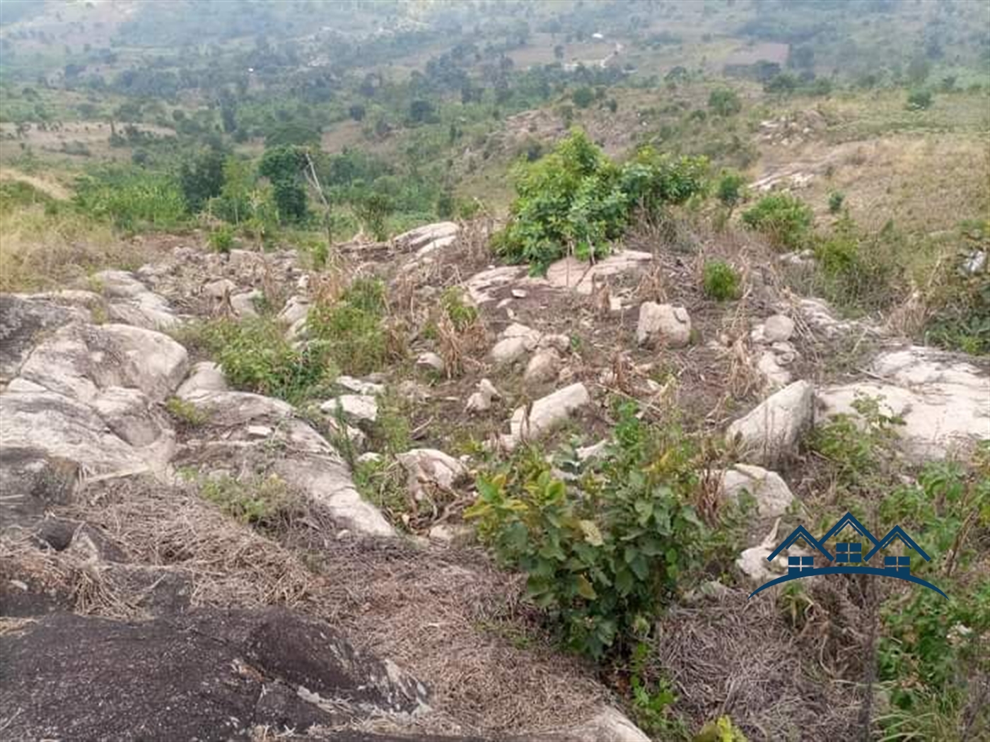 Agricultural Land for sale in Busunjju Wakiso