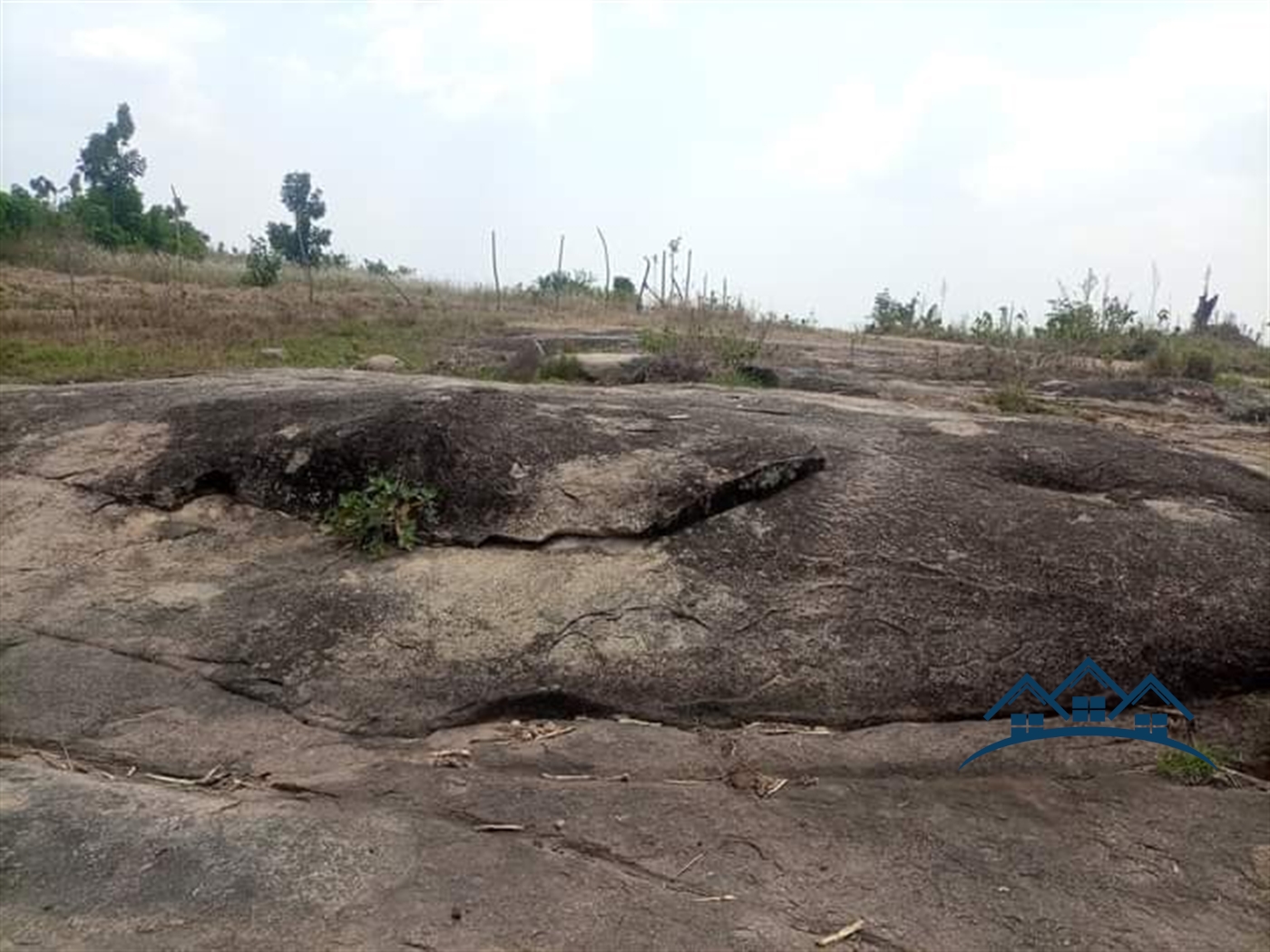 Agricultural Land for sale in Busunjju Wakiso