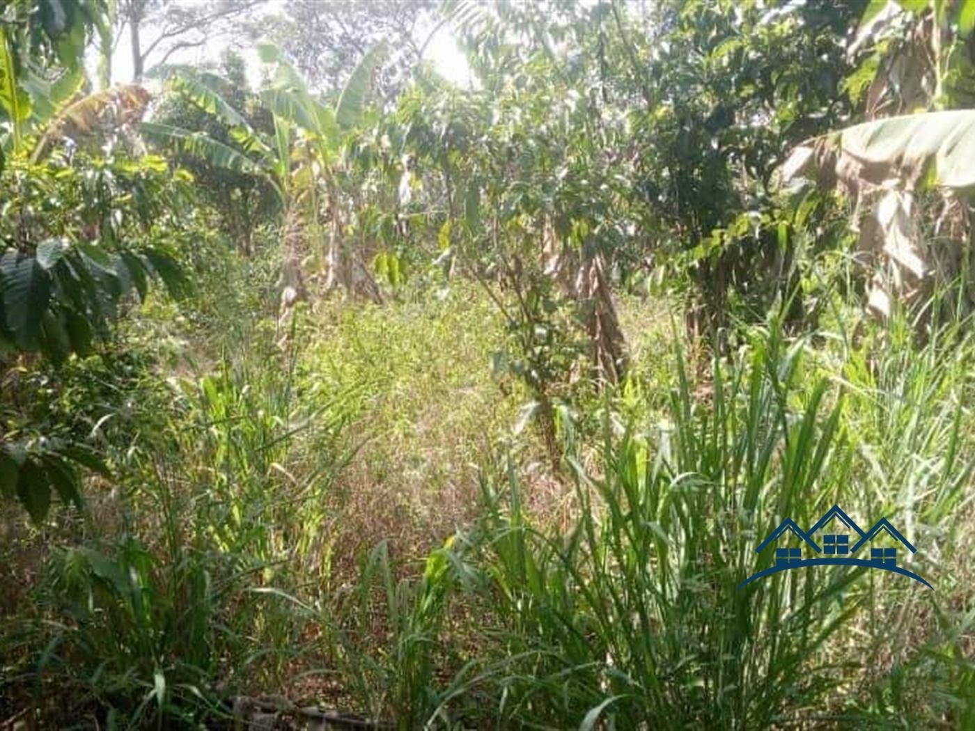 Agricultural Land for sale in Kamila Luweero