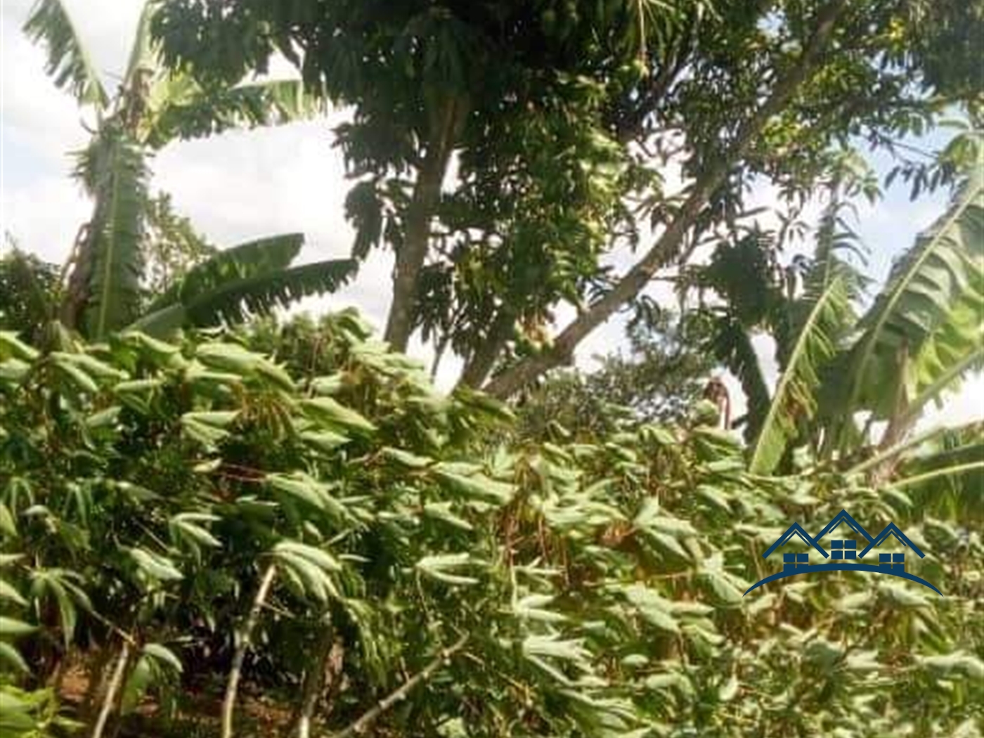 Agricultural Land for sale in Kamila Luweero