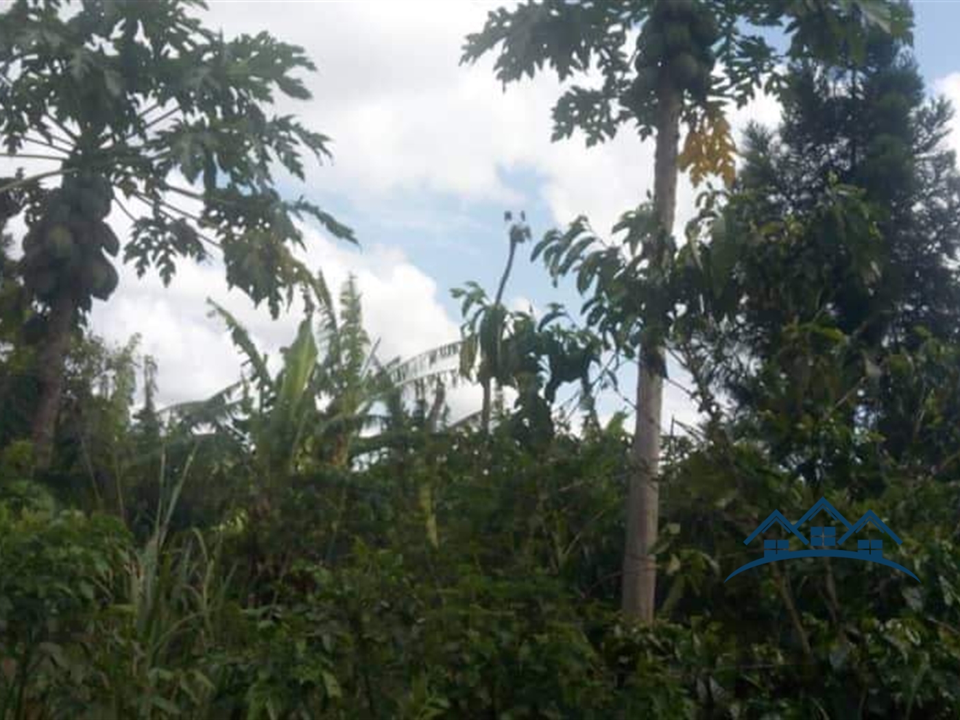 Agricultural Land for sale in Kamila Luweero