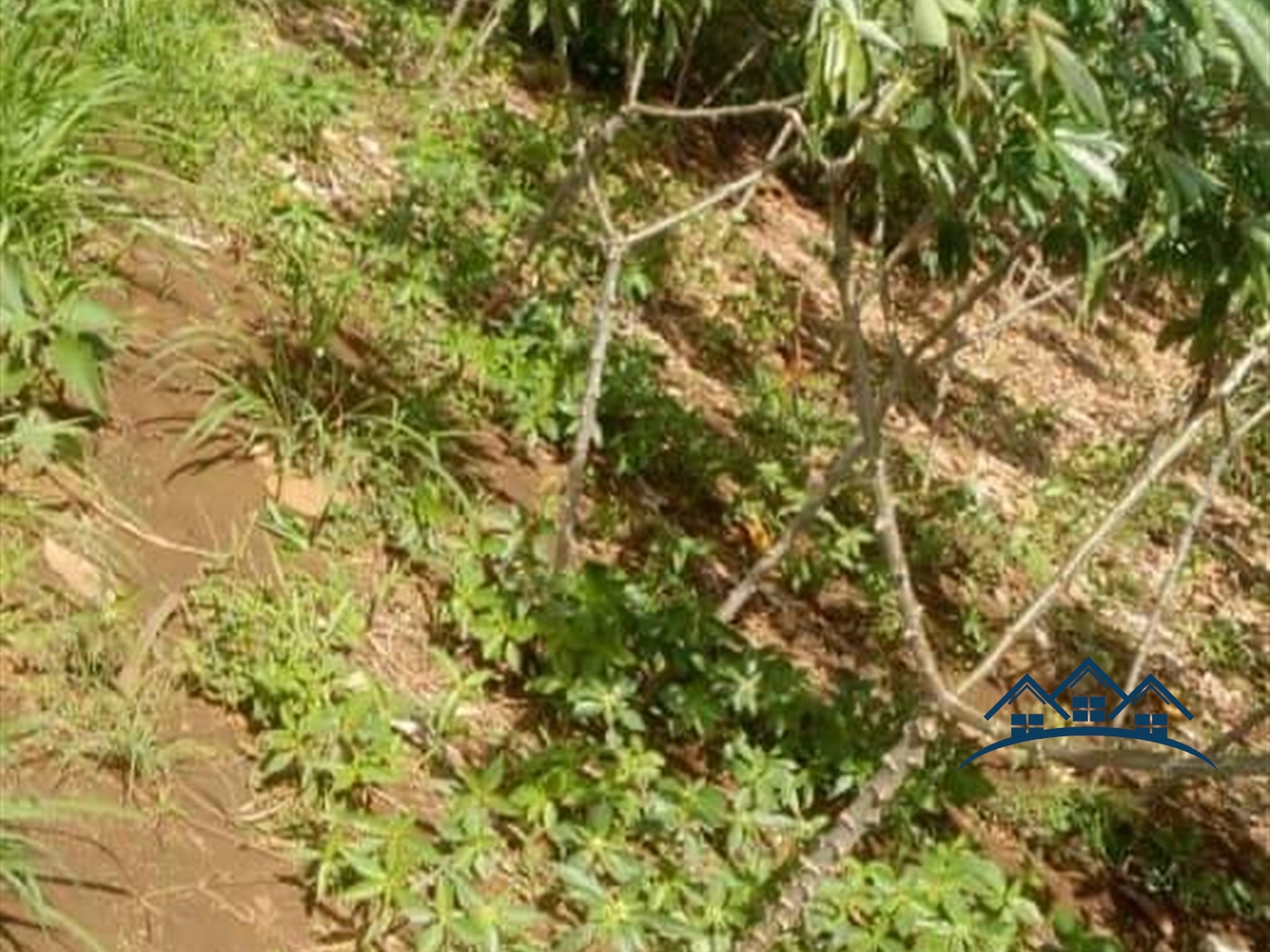 Agricultural Land for sale in Kamila Luweero