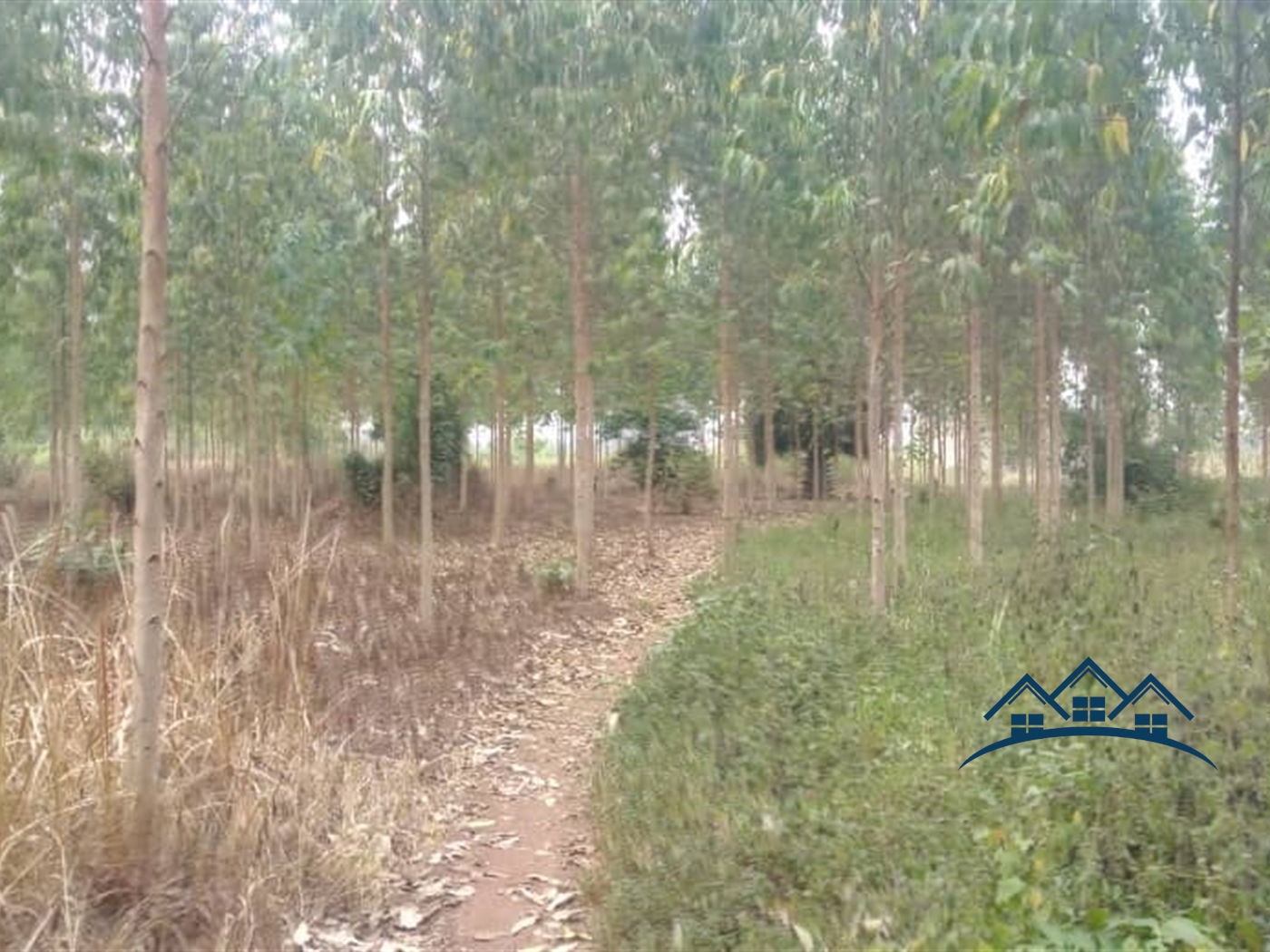 Agricultural Land for sale in Kamila Luweero