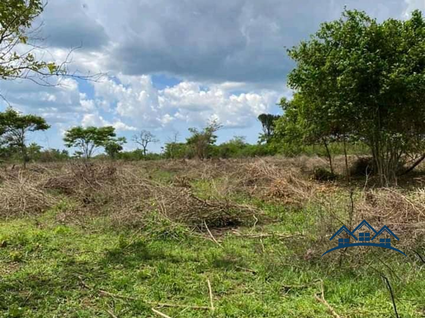 Agricultural Land for sale in Ziloobwe Luweero