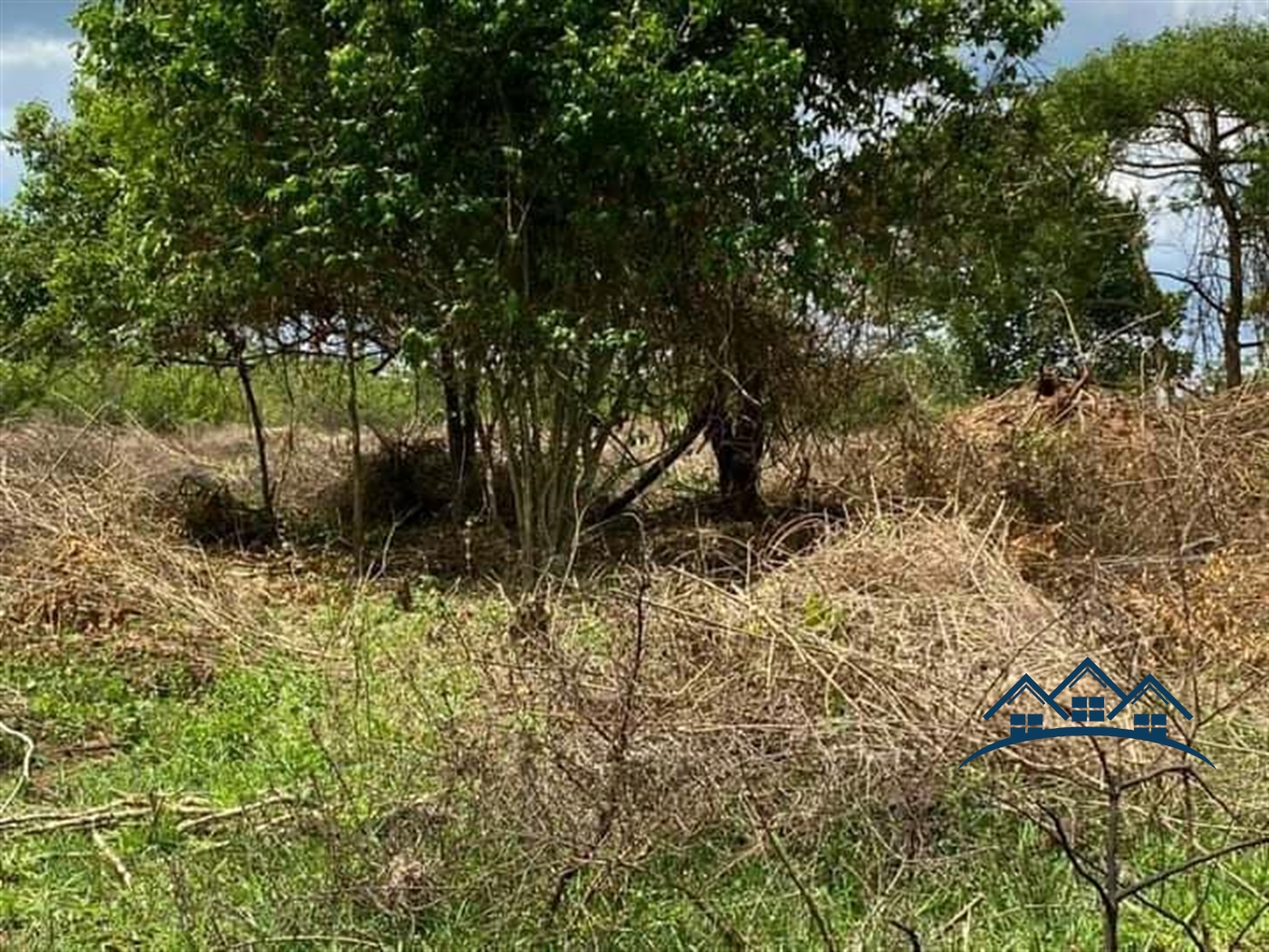 Agricultural Land for sale in Ziloobwe Luweero