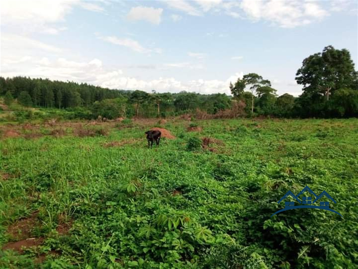 Industrial Land for sale in Namanve Mukono