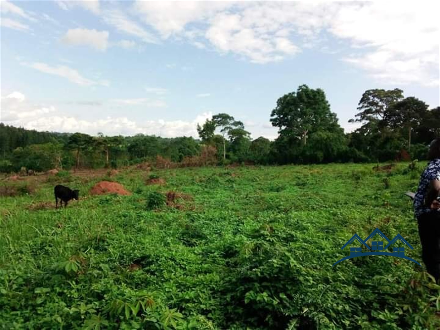 Industrial Land for sale in Namanve Mukono