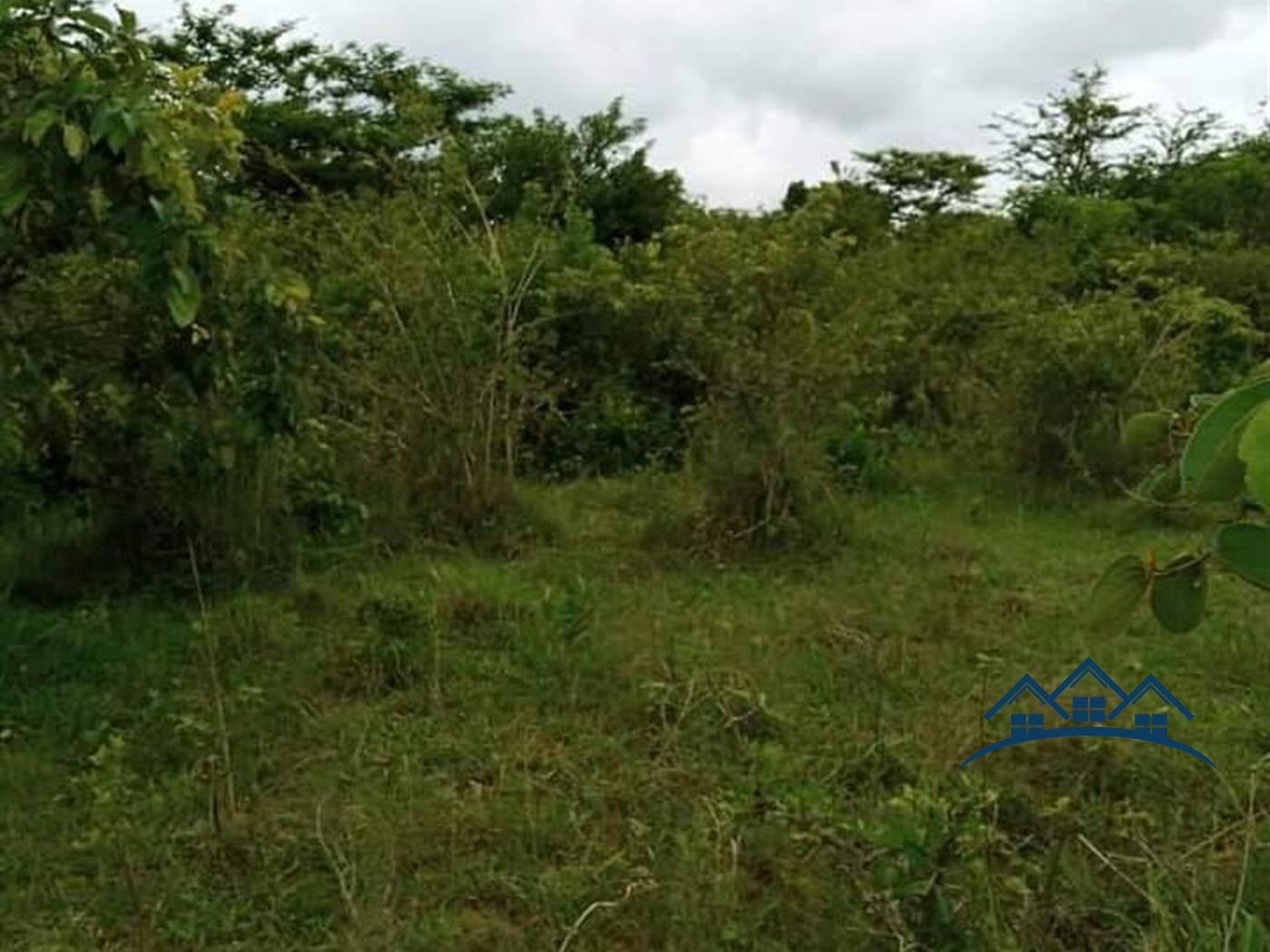 Agricultural Land for sale in Katuugo Luwero