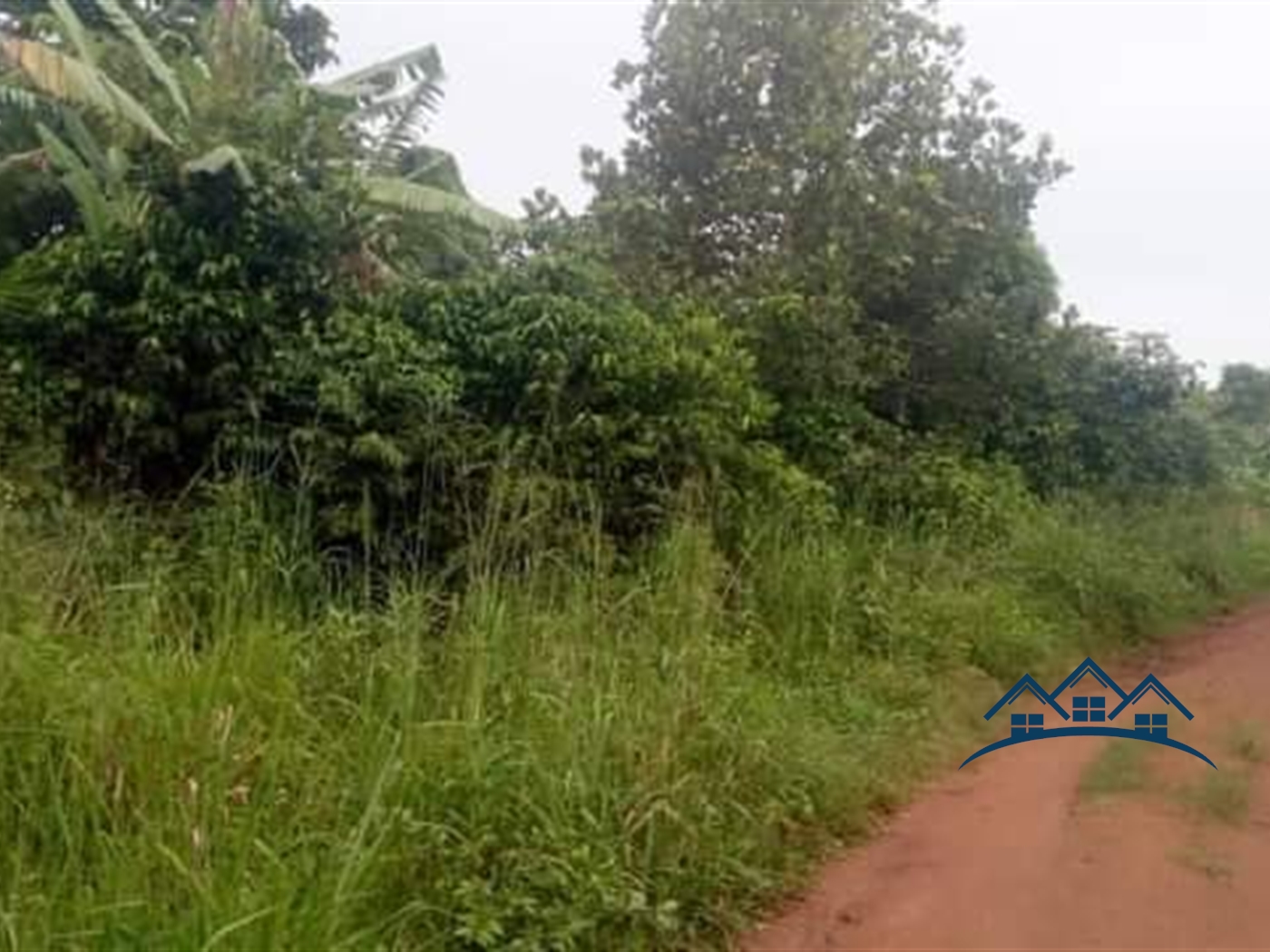 Agricultural Land for sale in Katuugo Luweero