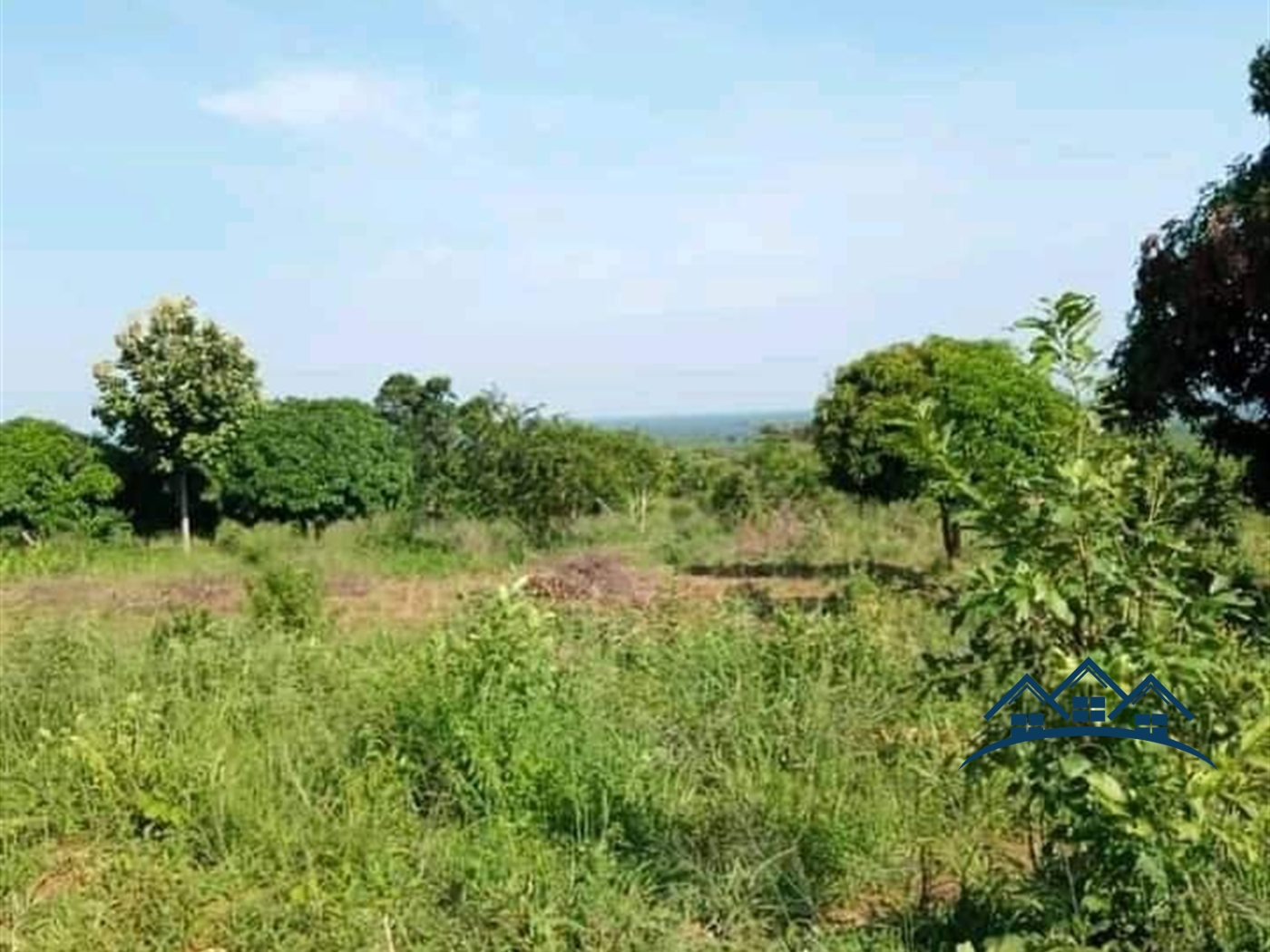 Agricultural Land for sale in Saasira Nakasongola