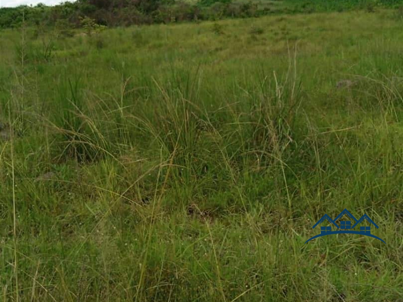 Agricultural Land for sale in Kakooge Luweero