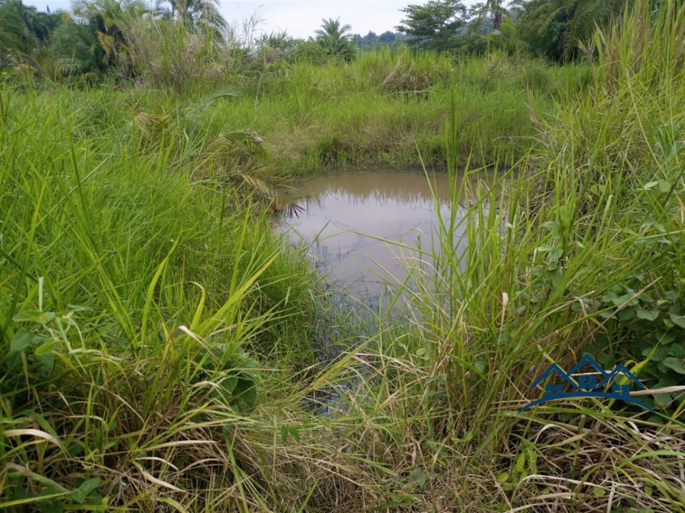 Agricultural Land for sale in Kapeeka Nakaseke