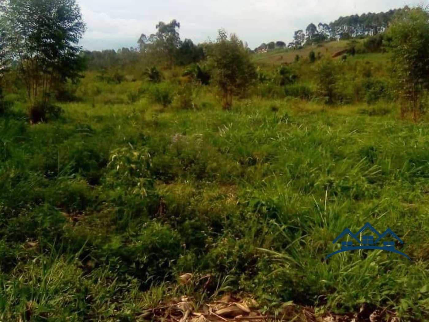 Agricultural Land for sale in Bekina Mityana