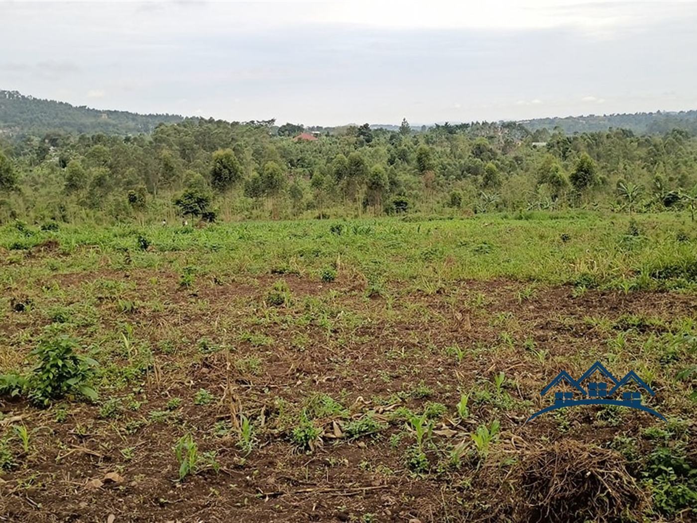 Multipurpose Land for sale in Bukeelele Wakiso