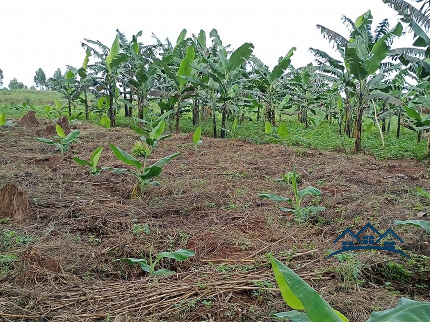 Multipurpose Land for sale in Bukeelele Wakiso