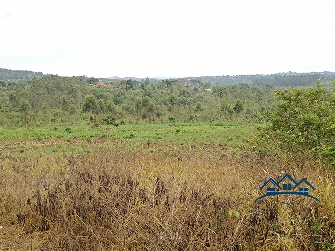 Multipurpose Land for sale in Bukeelele Wakiso