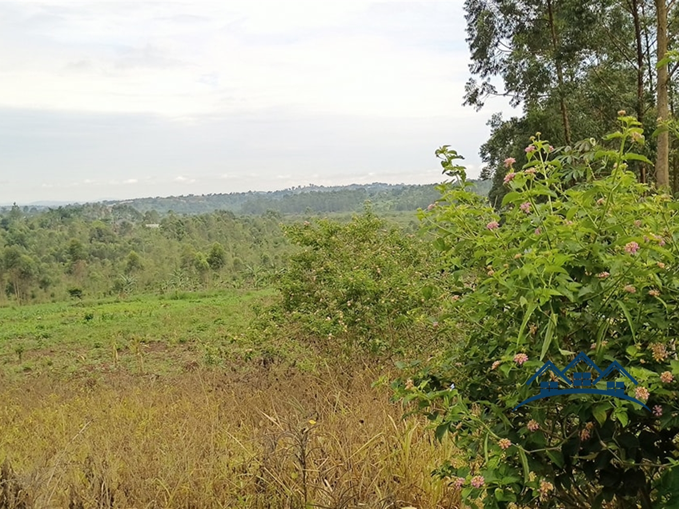 Multipurpose Land for sale in Bukeelele Wakiso
