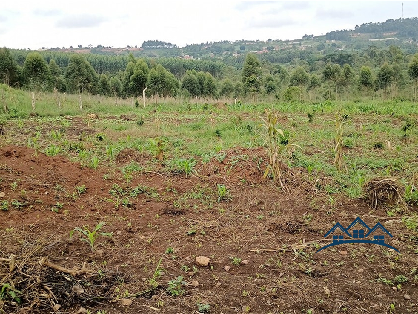 Multipurpose Land for sale in Bukeelele Wakiso