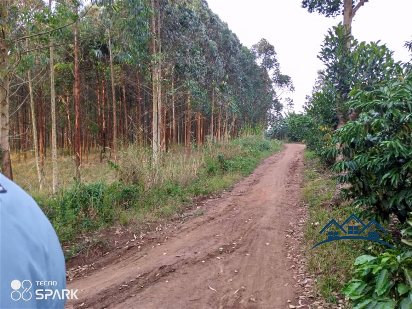 Agricultural Land for sale in Myanzi Wakiso