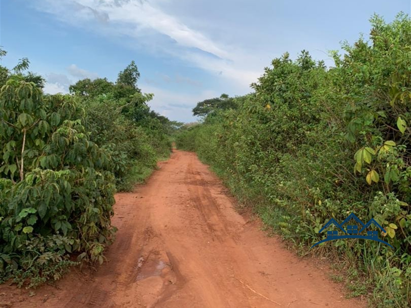 Agricultural Land for sale in Kikyuusa Luweero