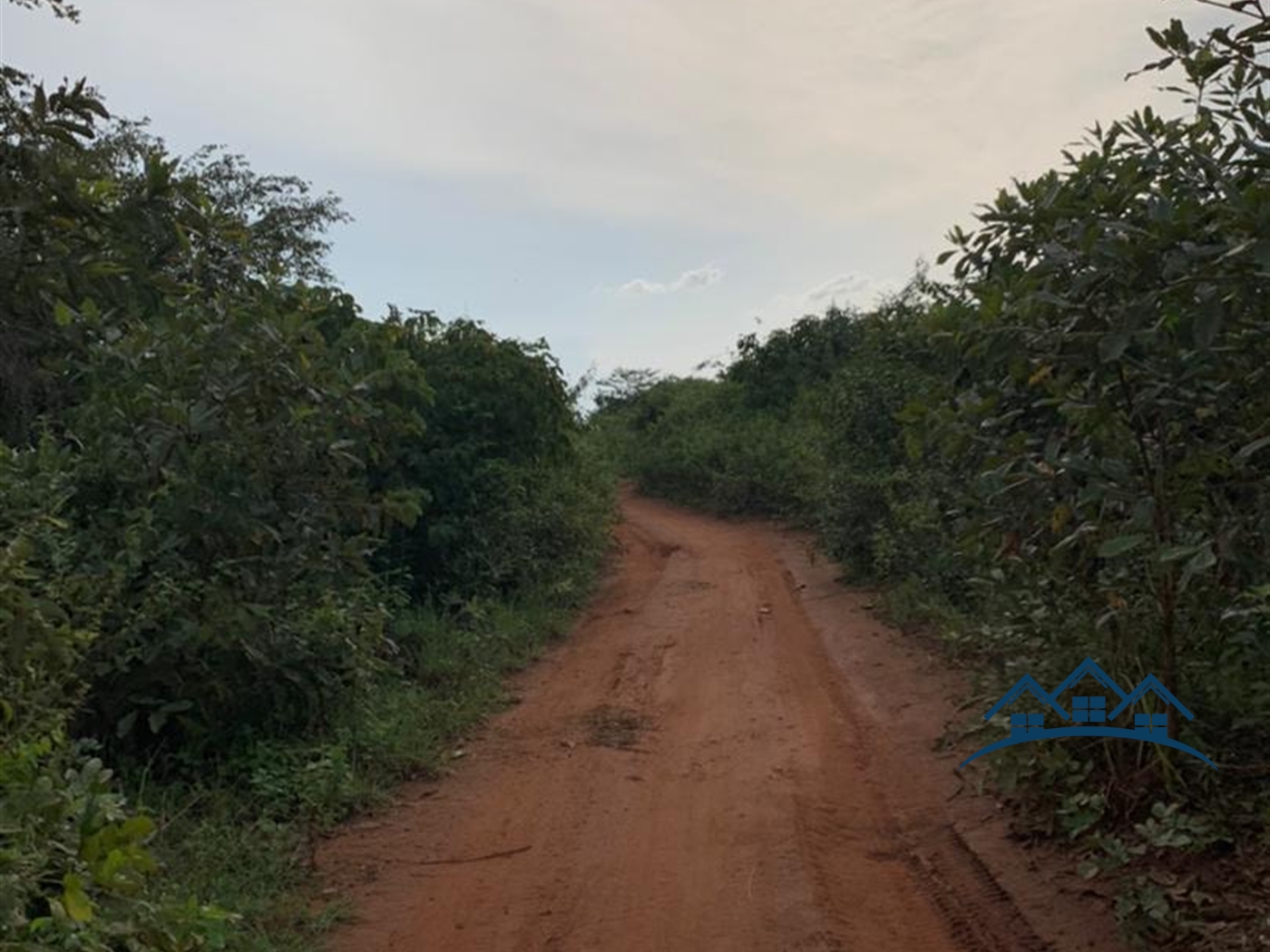 Agricultural Land for sale in Kikyuusa Luweero