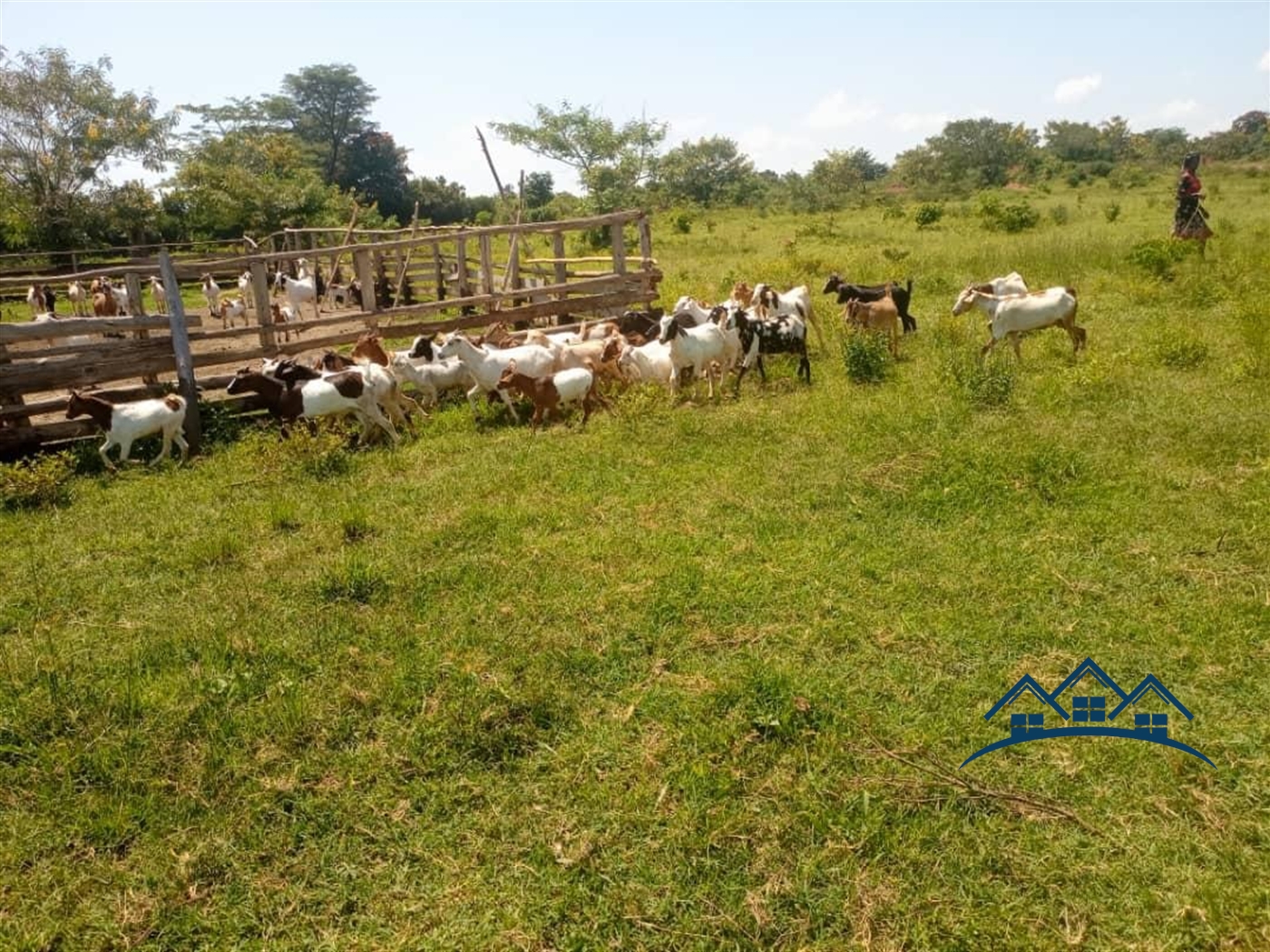 Agricultural Land for sale in Kamila Luweero